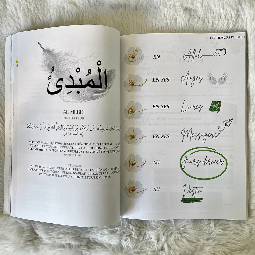 ✨ Tome 3 : Les trésors du deen